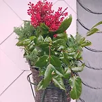 Ruhiges Mit Viel Platz Und Ladestation Fuer E-auto * マッサーベルク