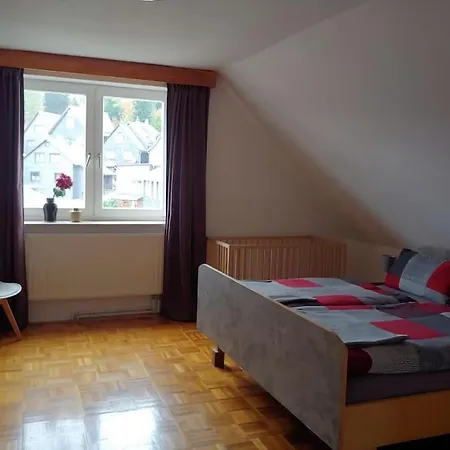 Tatil Evi Ruhiges Mit Viel Platz Und Ladestation Fuer E-auto Masserberg